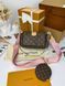 Модель в стилі Louis Vuitton Multi Pochette Brown/Pink P1053 фото 1