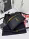 Сумка в стилі Yves Saint Laurent Gaby vanity Black/Gold P5037 фото 9