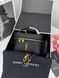 Сумка в стилі Yves Saint Laurent Gaby vanity Black/Gold P5037 фото 7