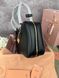 Сумка в стилі Miu Miu Black  P17014 фото 3