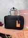 Сумка в стилі Miu Miu Black P17023 фото 3