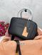 Сумка в стилі Miu Miu Black P17023 фото 5