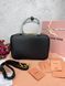 Сумка в стилі Miu Miu Black P17023 фото 8
