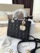 Модель в стилі Dior Lady Black Gold  24см P6073 фото 7