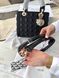 Модель в стилі Dior Lady Black Gold  24см P6073 фото 8