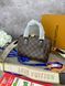 Модель в стилі Louis Vuitton Speedy Bandouliere  20см P1025 фото 2