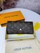 Модель в стилі Louis Vuitton Brown W0015 фото 3
