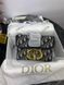 Сумка в стилі  Dior Blue/Beige P6014 фото 4