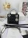 Сумка в стилі Dior Lady Mini Black Silver 17 см