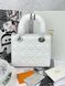 Сумка в стилі Dior Lady White Silver P6040 фото 2
