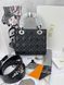 Сумка в стилі Dior Lady Black Silver 20 см