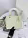 Сумка в стилі Dior Lady Total Beige P6034 фото 9
