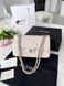 Модель в стилі Chanel Beige Silver