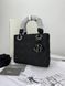 Сумка в стилі  Dior Lady Total Black 20 см 	P6033 фото 10