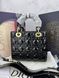 Сумка в стилі Dior Lady Black Gold P6031 фото 3