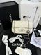 Модель в стилі Chanel Beige Silver 20 см P10024 фото 1