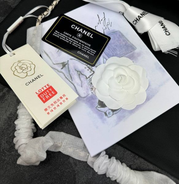 Модель в стилі Chanel Black Silver 20 см P10023 фото