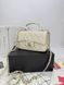 Модель в стилі Chanel Beige Gold 20 см P10065 фото 13