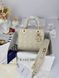 Сумка в стилі Dior Lady Beige Gold P6055 фото 6