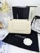 Модель в стилі Chanel Milk Silver (з косметичкою) P10096 фото 4