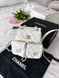 Модель в стилі Chanel Backpack Milk Gold Texture