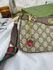 Модель в стилі Gucci Brown 25см  P11025 фото 2