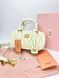 Сумка в стилі Miu Miu Milk P17043 фото 4