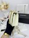 Модель в стилі Chanel Milk Gold P10118 фото 6
