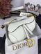 Модель в стилі Dior Saddle Milk Texture Р6002 фото 10