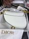 Модель в стилі Dior Saddle Milk Texture Р6002 фото 6