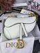 Модель в стилі Dior Saddle Milk Texture Р6002 фото 8