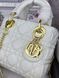 Сумка в стилі Dior Lady Milk Gold + гаманець P6023 фото 5
