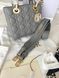 Модель в стилі  Dior Lady Grey Gold 20 см P6069 фото 10