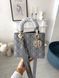 Модель в стилі  Dior Lady Grey Gold 20 см P6069 фото 8