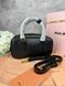 Сумка в стилі Miu Miu Black P17016 фото 9