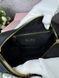 Сумка в стилі Miu Miu Black P17002 фото 10