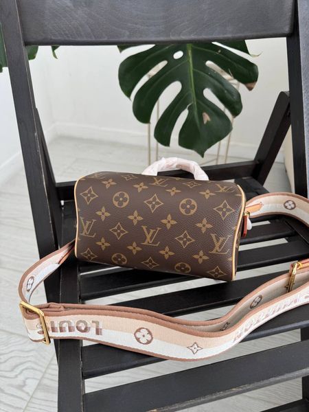 Модель в стилі Louis Vuitton Speedy Bandouliere 20 P1055 фото