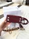 Модель в стилі  Dior Lady Burgundy Gold 17см P6070 фото 5