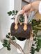 Модель в стилі Louis Vuitton Speedy Bandouliere 20 P1055 фото 5