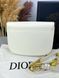 Сумка в стилі Dior Bobby Milk P6015 фото 7