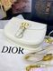 Сумка в стилі Dior Bobby Milk P6015 фото 8