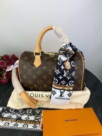 Модель в стилі Louis Vuitton Speedy Bandouliere 25 P1015 фото