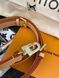 Модель в стилі Louis Vuitton Speedy Bandouliere 25 P1015 фото 12