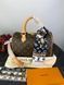 Модель в стилі Louis Vuitton Speedy Bandouliere 25