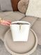 Сумка в стилі  Yves Saint Laurent Le 37 Milk Gold P5052 фото 9