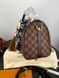 Модель в стилі Louis Vuitton Speedy Bandouliere 25 P1014 фото 5