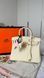 Модель в стилі Hermes Birkin Milk Gold  25  147-1 фото 2